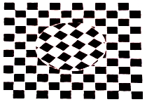 Trabalho de Arte - 8&ordm; ano: Op Art