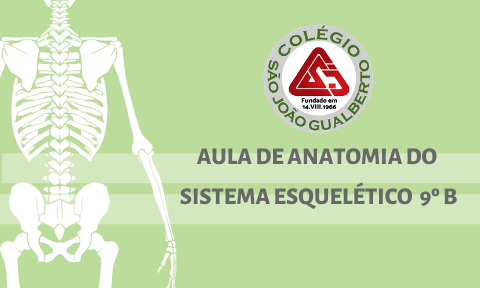 Aula de anatomia Sistema Esqueltico 9 B EFII