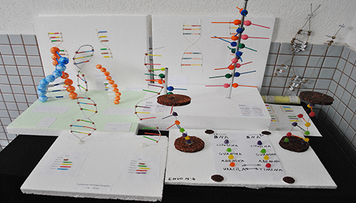 Maquetes das molculas de DNA e RNA Colgio So Joo Gualberto