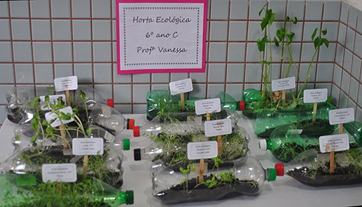 Horta ecolgica Colgio So Joo Gualberto
